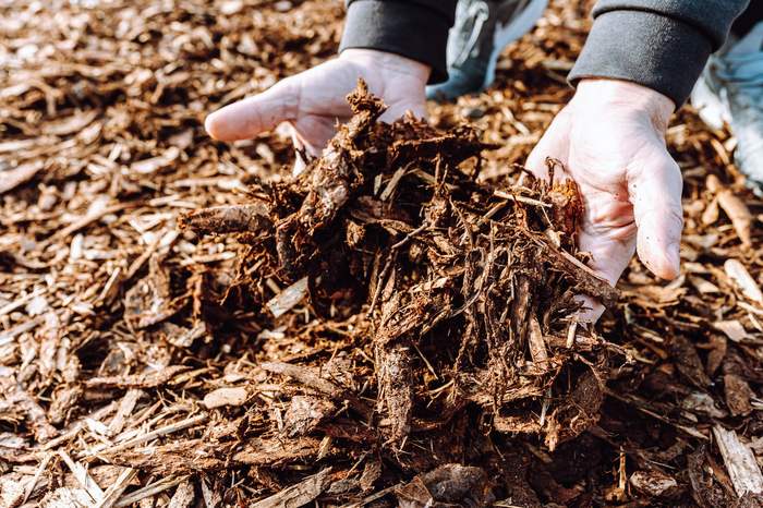 Fresh mulch layer after forestry mulching