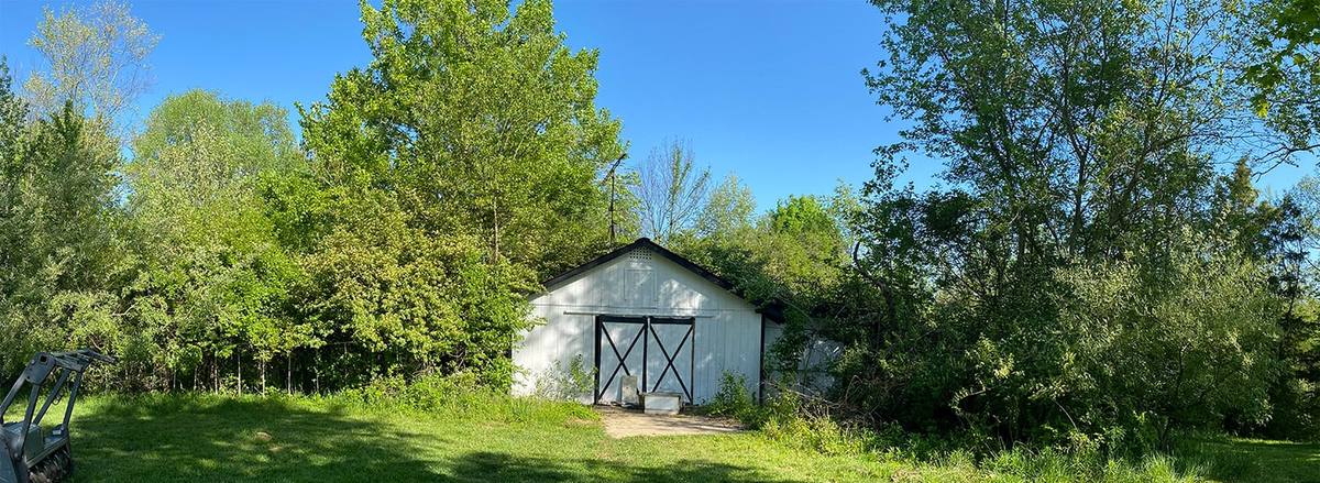 Shed swallowed by brush before BrushBoys clearing