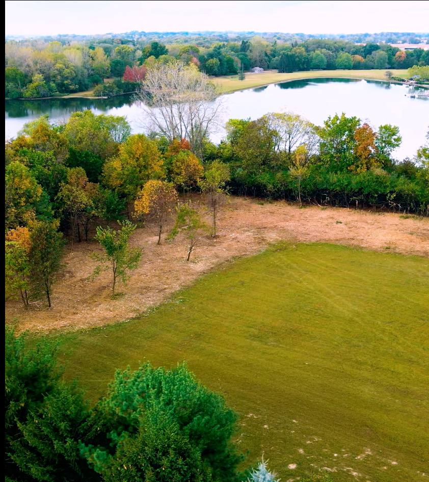Same land opened up after BrushBoys forestry mulching