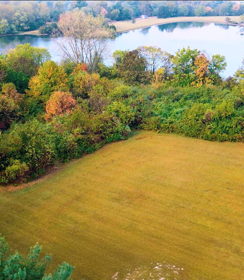 Brush-choked land before BrushBoys clearing