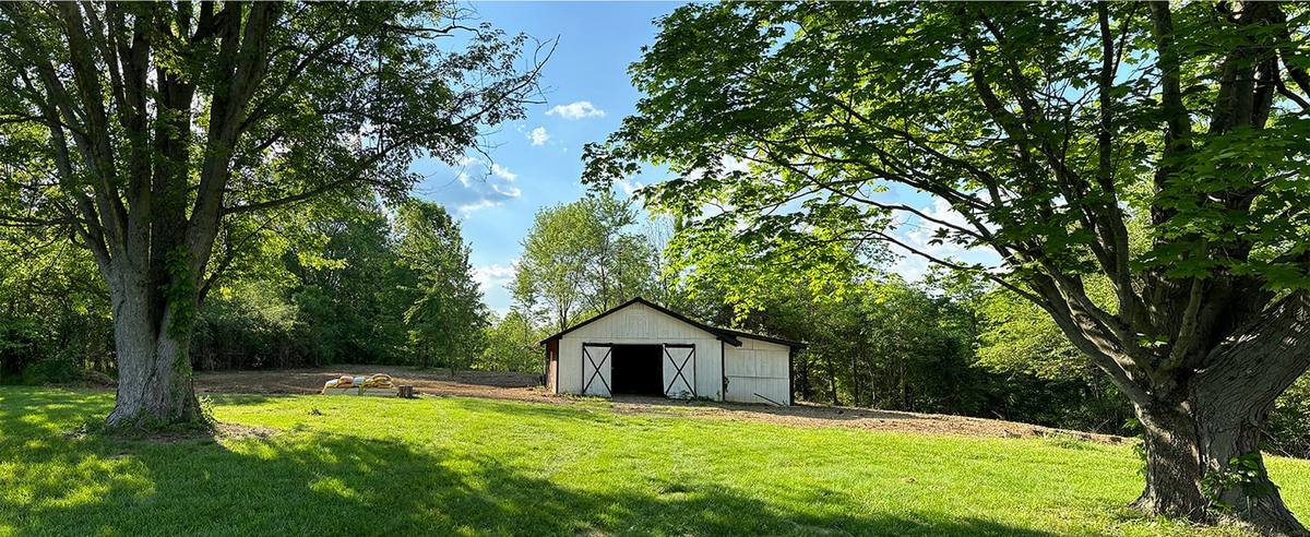 Same shed fully cleared after BrushBoys